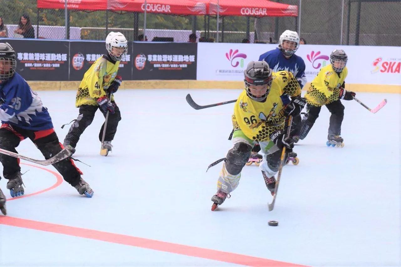 洞庭朱雀队鏖战岭东战狼队，冰球大奖赛火力全开，转换速度占优。重拾自信的夜晚的简单介绍